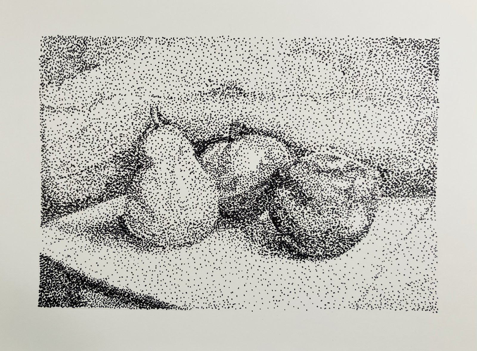 A still life drawing in black and white of a pear, pomegranate, and apple sitting on a table. The drawing has been made with stippled dots.